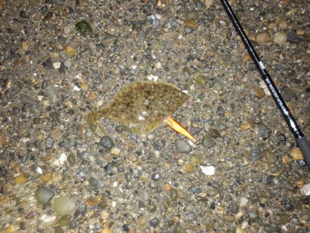 浮気‼南大阪へ‼スレてます‼